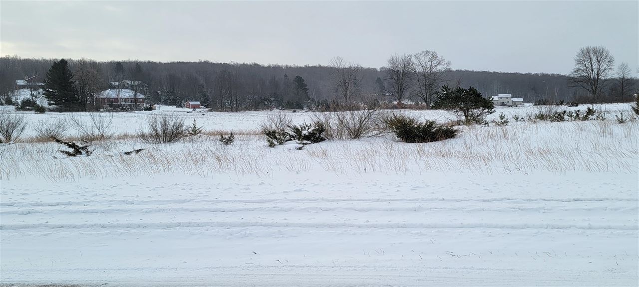 Unit 44 Alden Meadows Drive Alden MI 49612