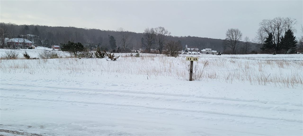 Unit 44 Alden Meadows Drive Alden MI 49612