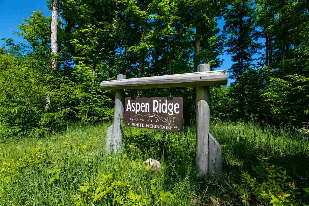 Tbd Aspen Ridge Court Boyne City MI 49712