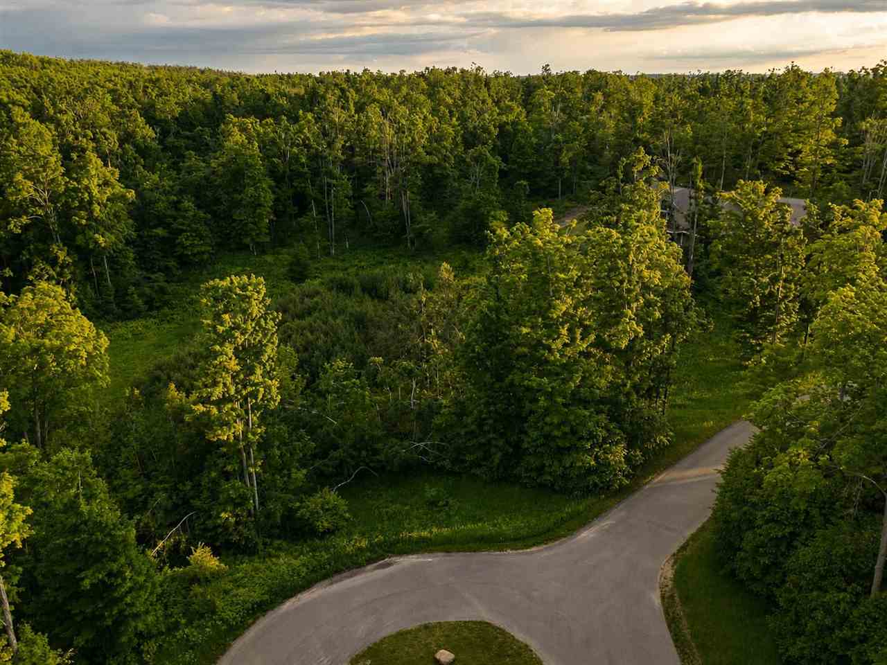 Tbd Aspen Ridge Court Boyne City MI 49712