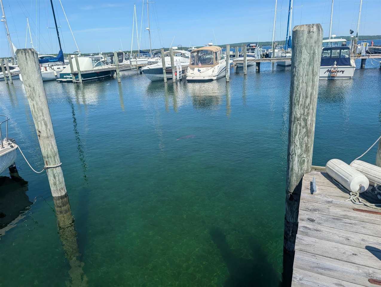 202 Ferry Avenue Charlevoix MI 49720