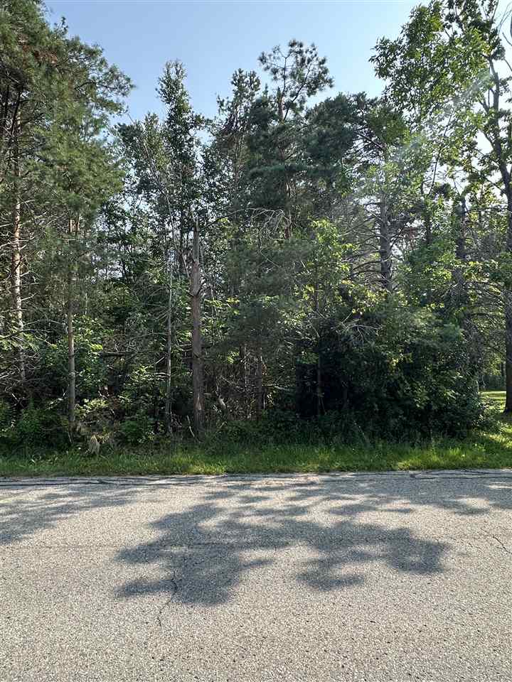 Tbd Sheridan Petoskey MI 49770