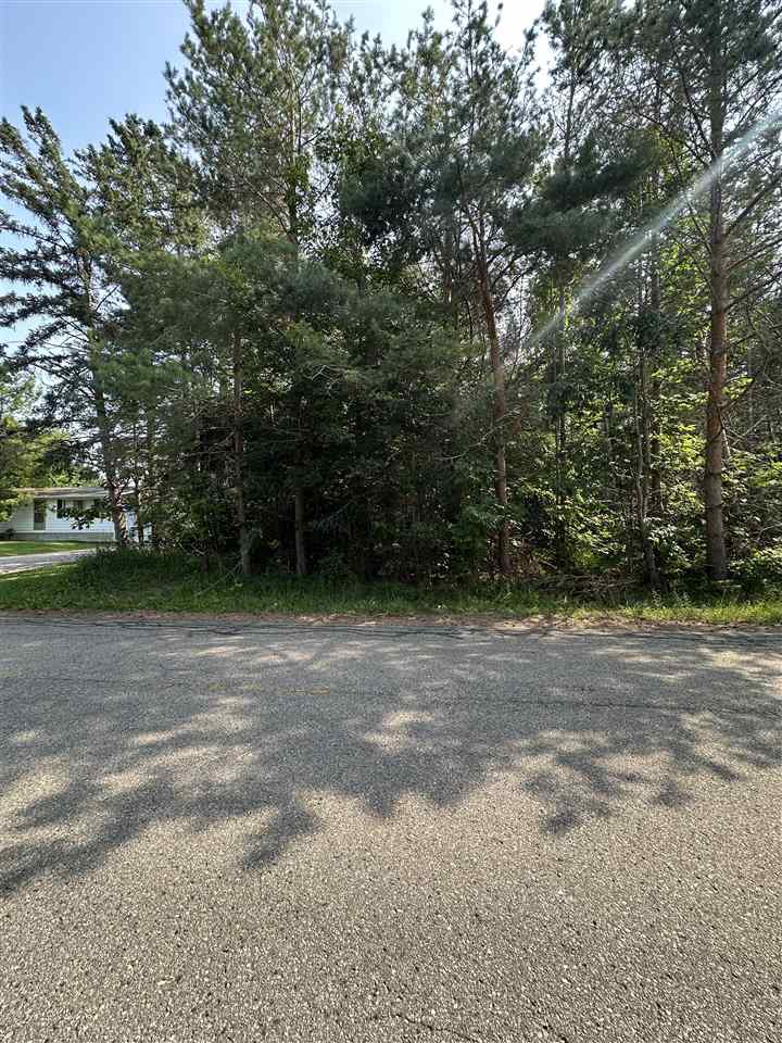 Tbd Sheridan Petoskey MI 49770