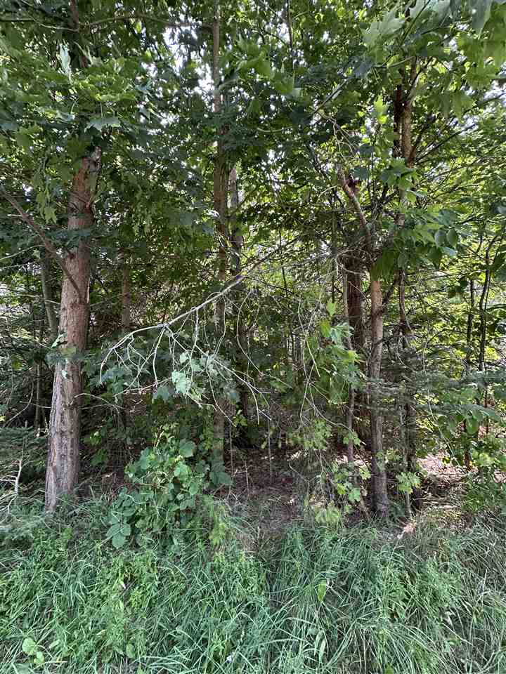 Tbd Sheridan Petoskey MI 49770