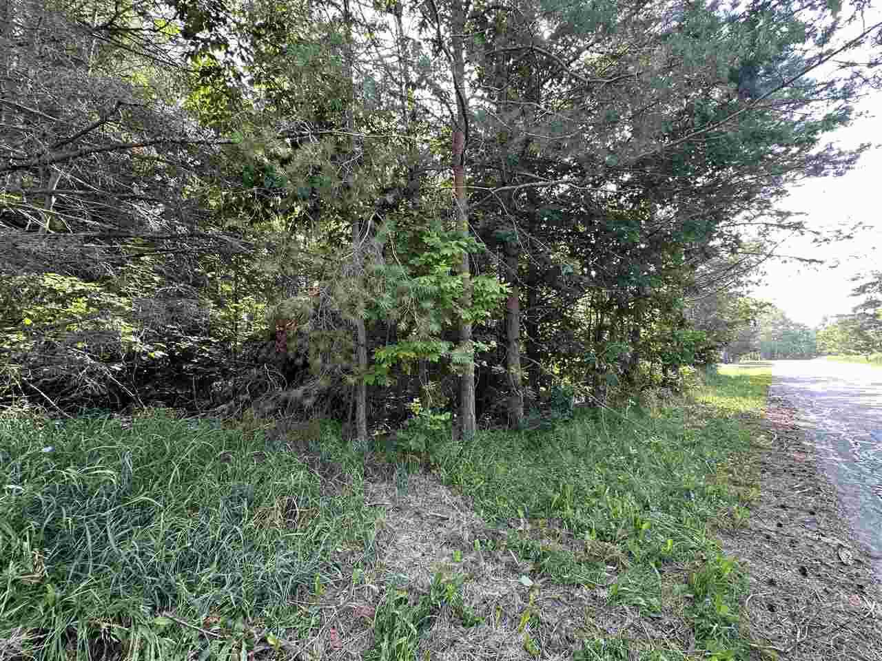 Tbd Sheridan Petoskey MI 49770