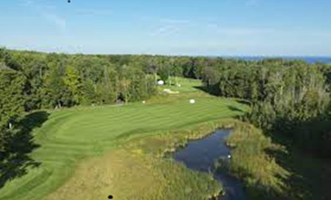 7397 Preserve Court Bay Harbor MI 49770