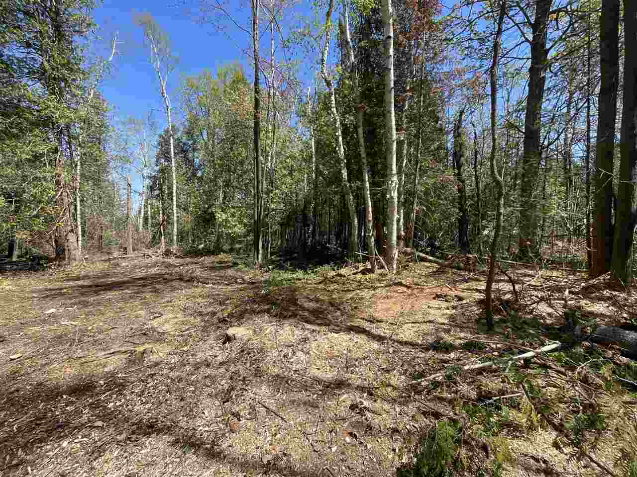 2189 Barney Petoskey MI 49770