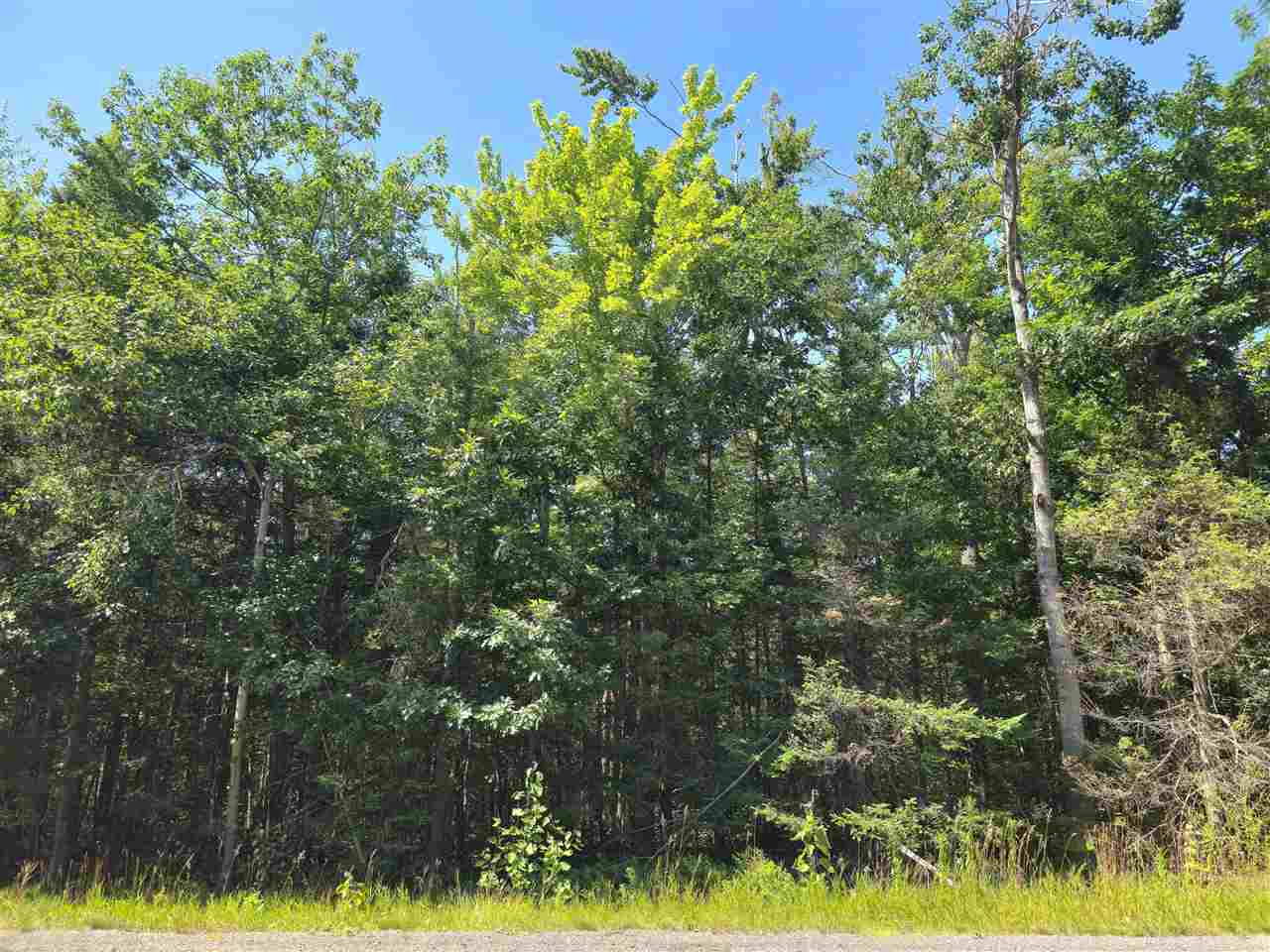 8155 Us-23 Cheboygan MI 49721