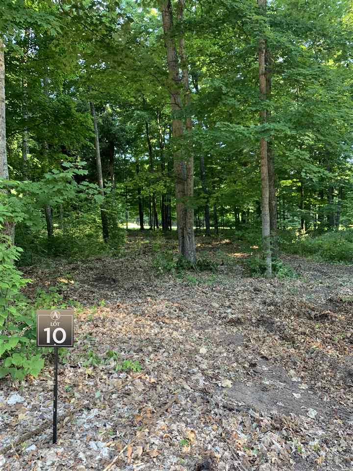 916 Aronimink Drive Harbor Springs MI 49740