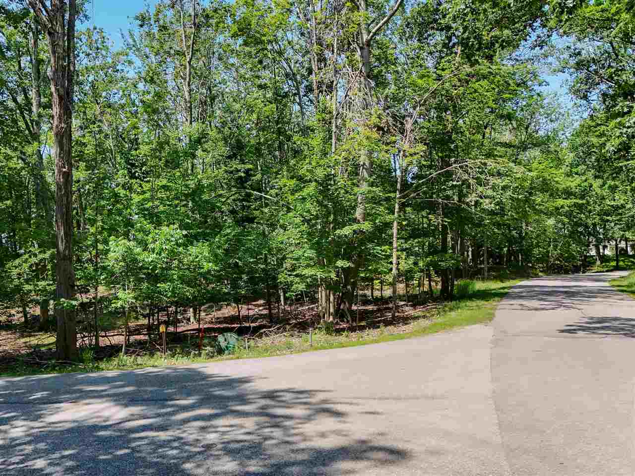 1222 Timber Pass Harbor Springs MI 49740