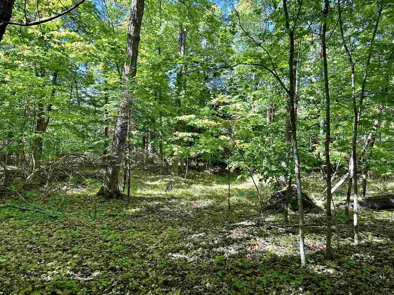 Lots 56 & 57 Cable's Bay Beaver Island MI 49782