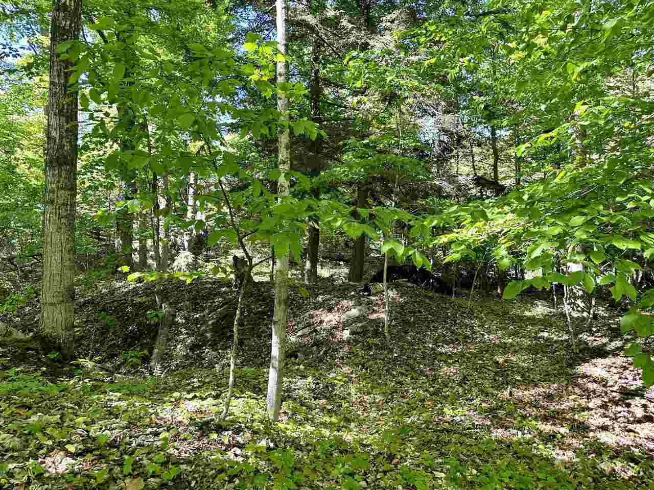 Lots 56 & 57 Cable's Bay Beaver Island MI 49782