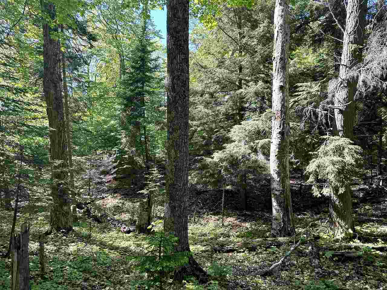 Lots 56 & 57 Cable's Bay Beaver Island MI 49782