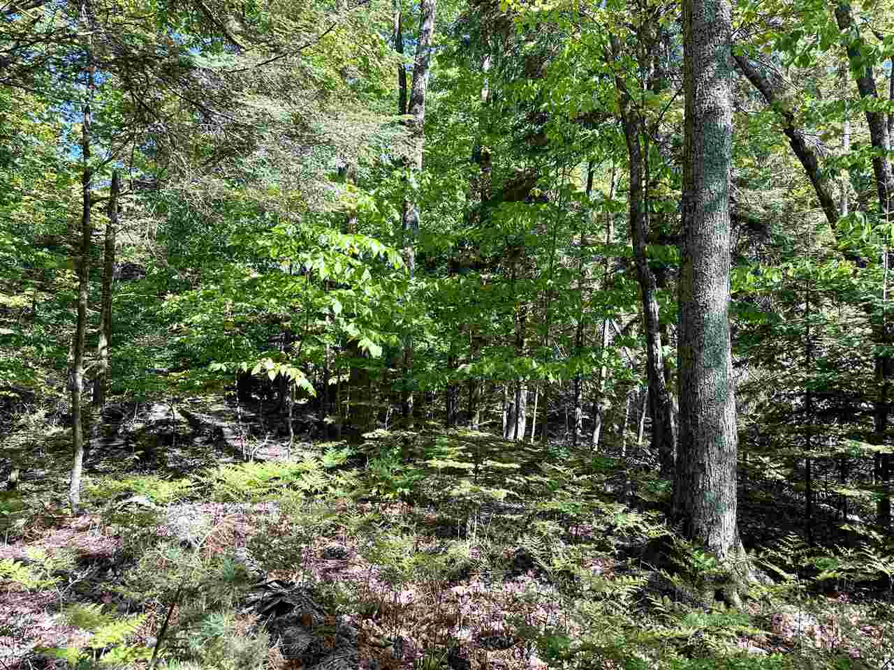 Lots 56 & 57 Cable's Bay Beaver Island MI 49782