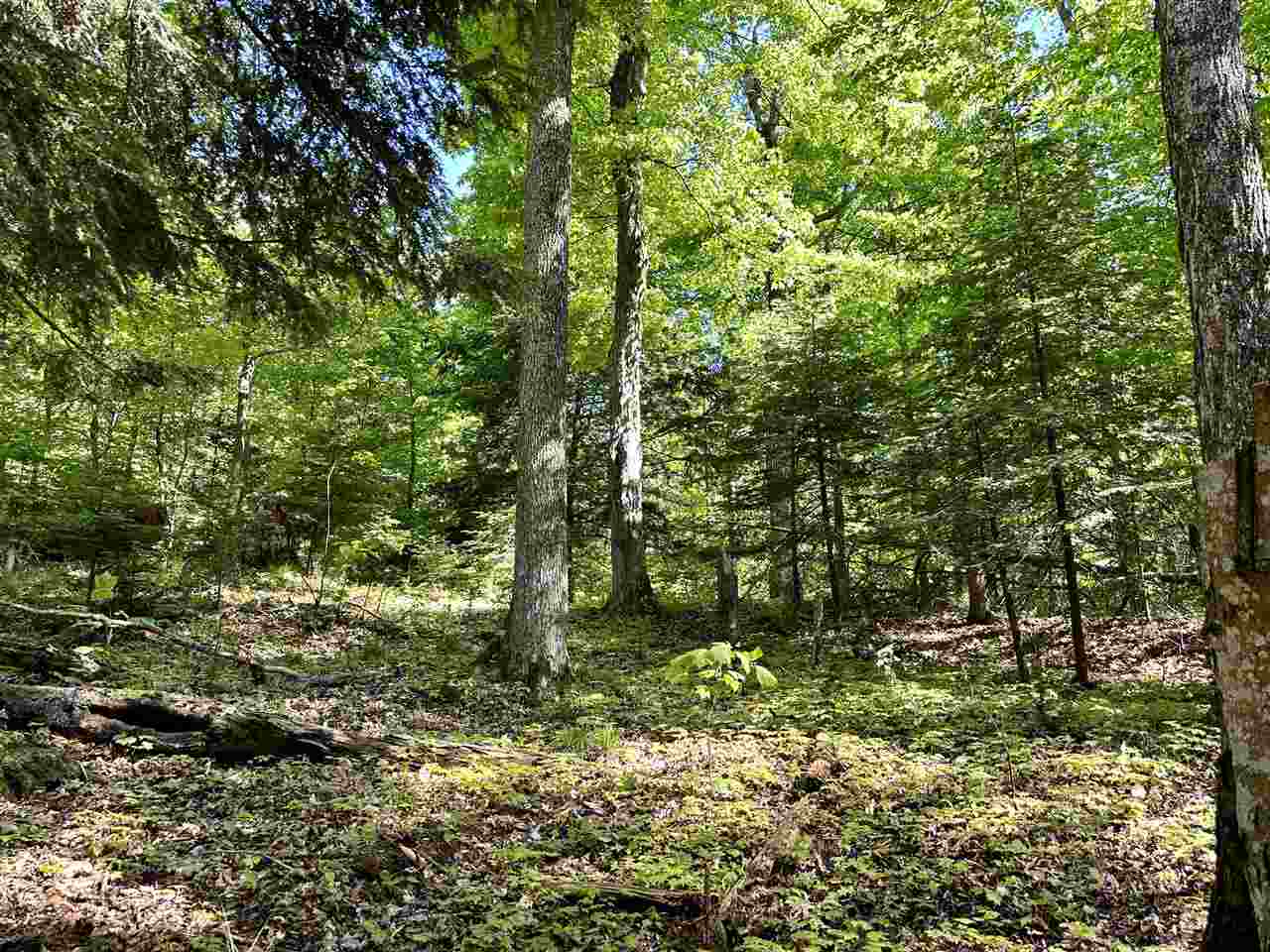 Lots 56 & 57 Cable's Bay Beaver Island MI 49782