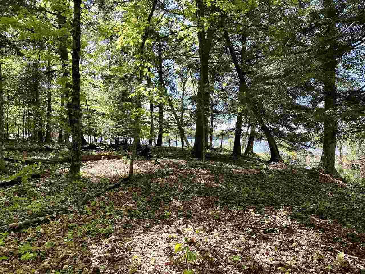 Lots 56 & 57 Cable's Bay Beaver Island MI 49782