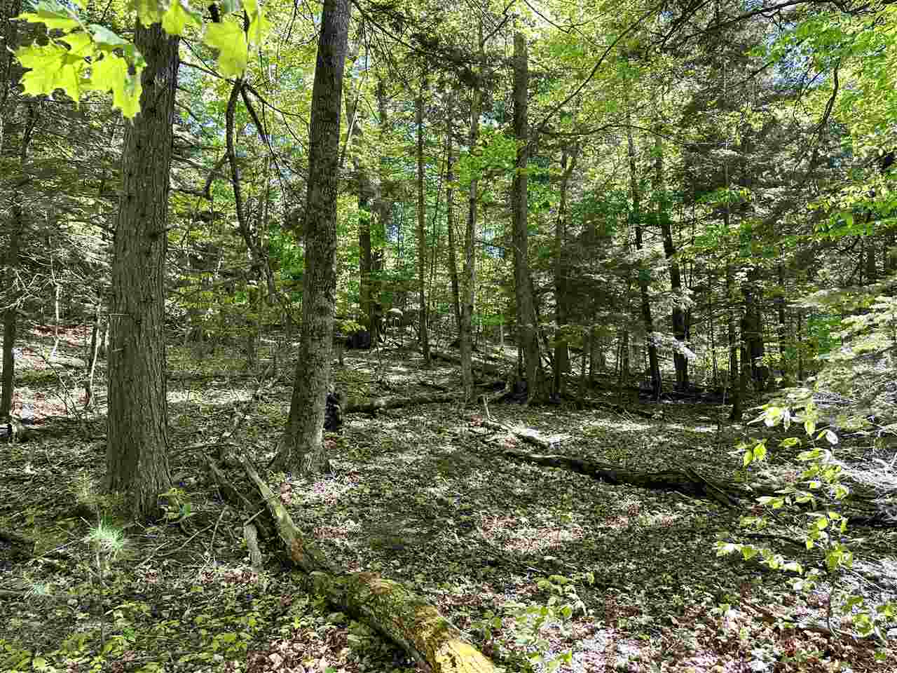 Lots 56 & 57 Cable's Bay Beaver Island MI 49782