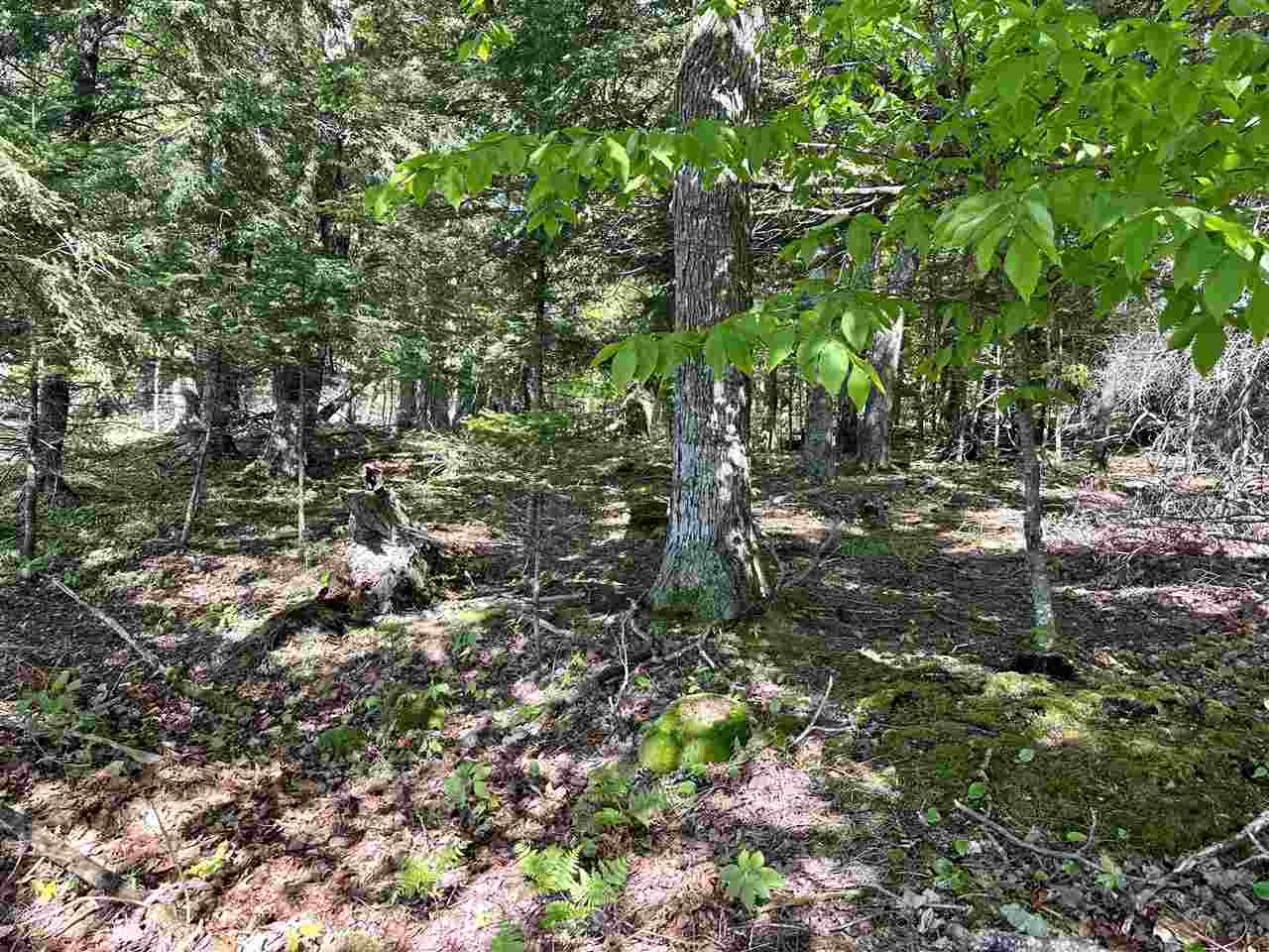 Lots 56 & 57 Cable's Bay Beaver Island MI 49782