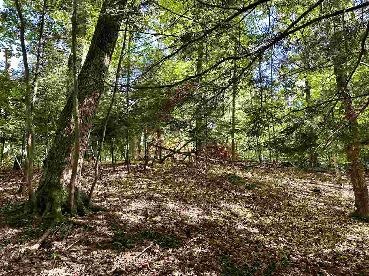 Lots 56 & 57 Cable's Bay Beaver Island MI 49782
