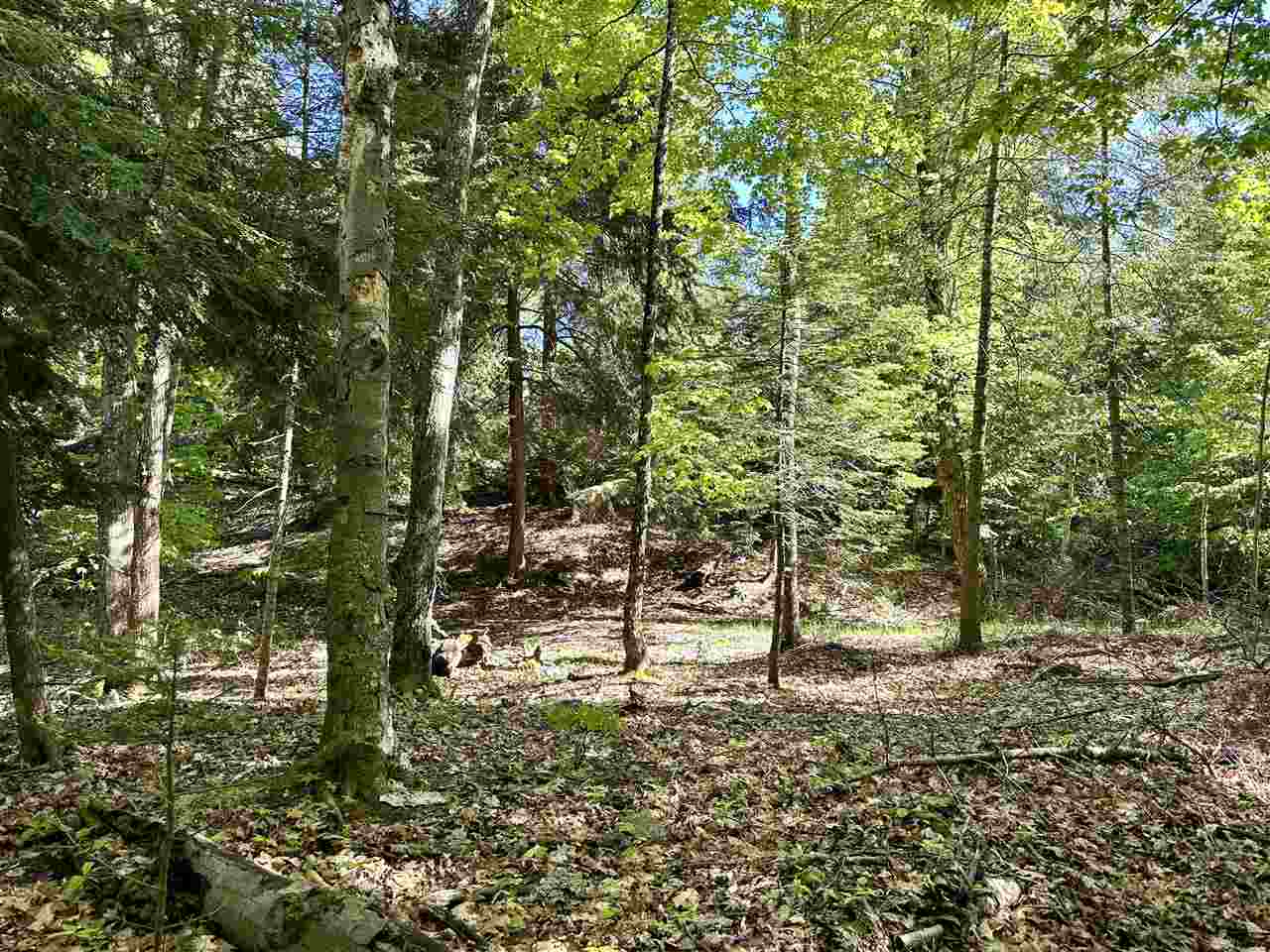 Lots 56 & 57 Cable's Bay Beaver Island MI 49782