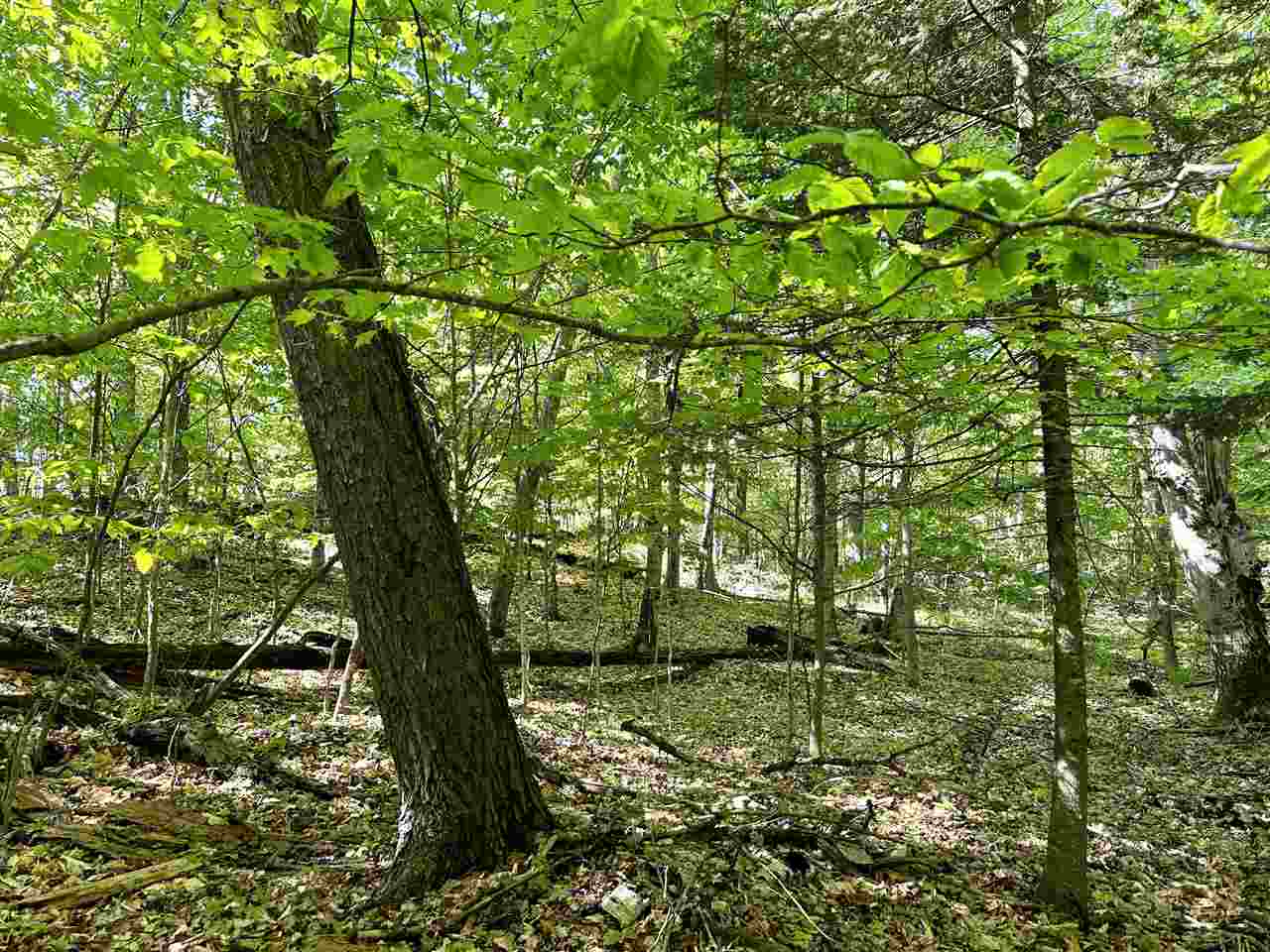 Lots 56 & 57 Cable's Bay Beaver Island MI 49782