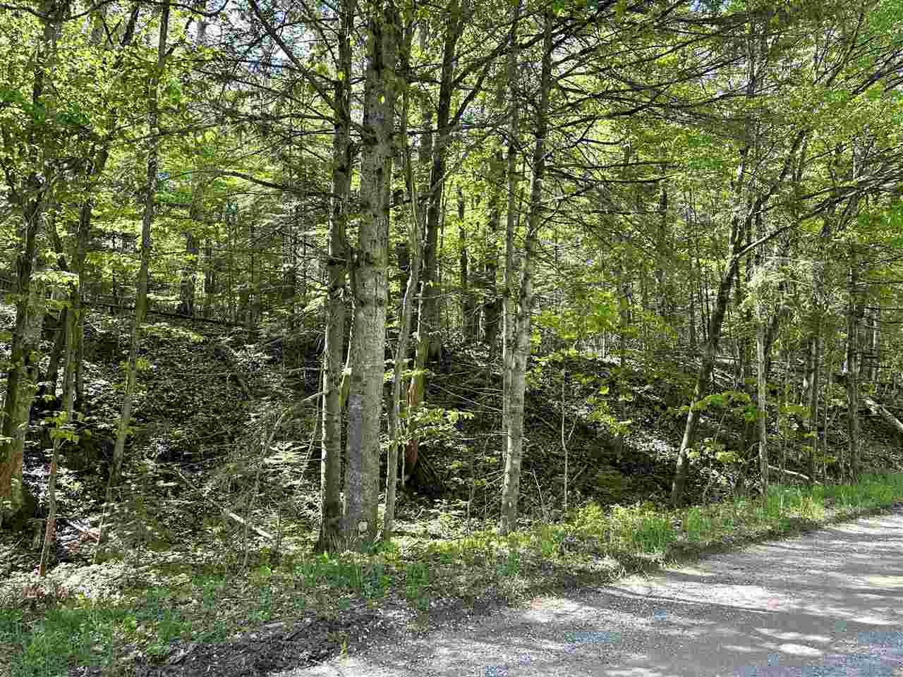 Lots 56 & 57 Cable's Bay Beaver Island MI 49782