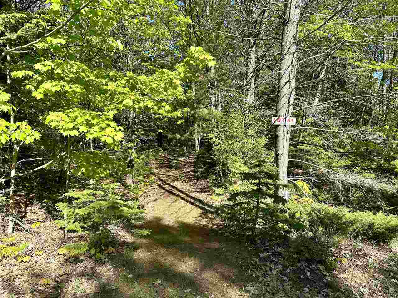 Lots 56 & 57 Cable's Bay Beaver Island MI 49782