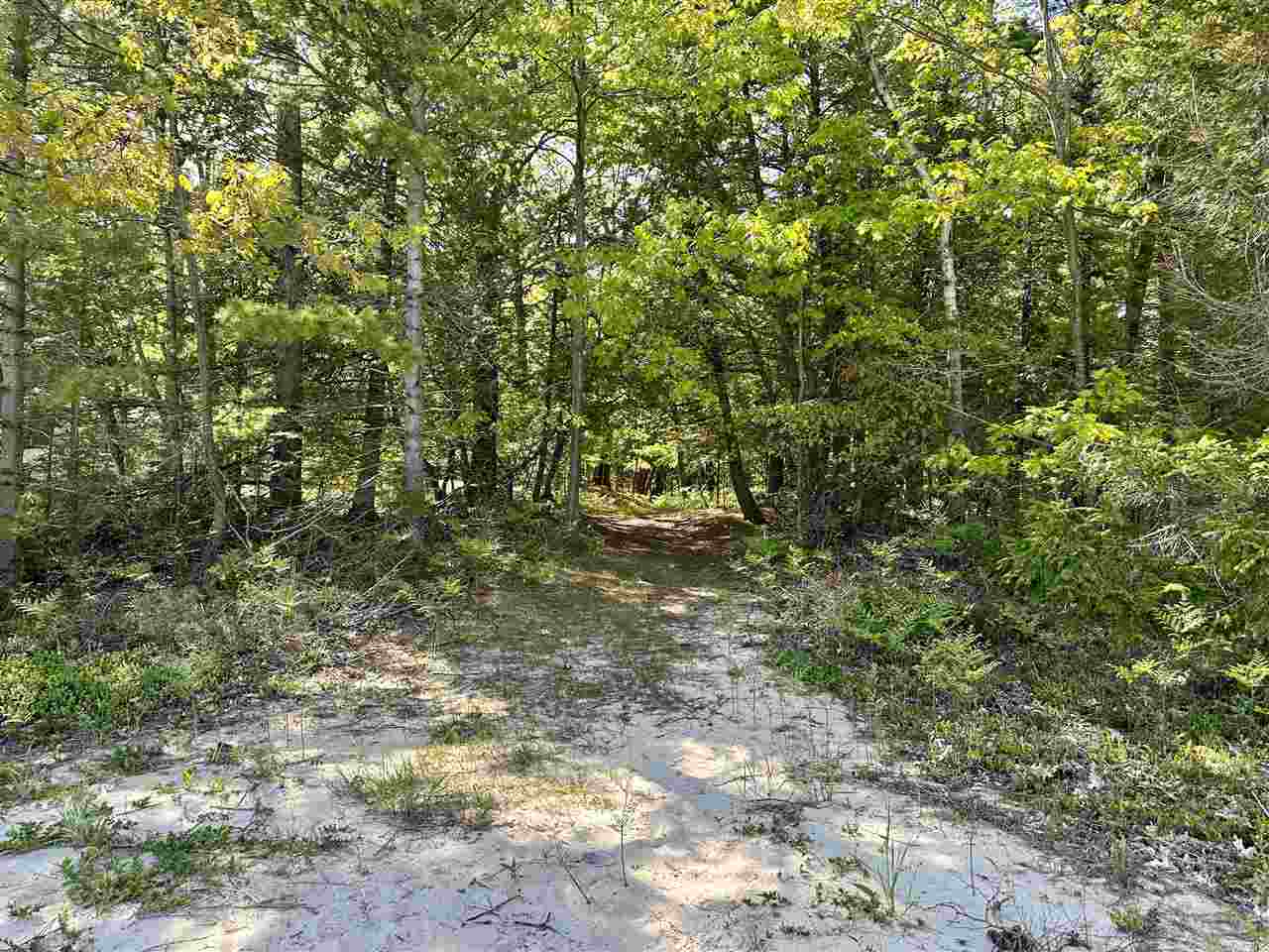 Lots 56 & 57 Cable's Bay Beaver Island MI 49782