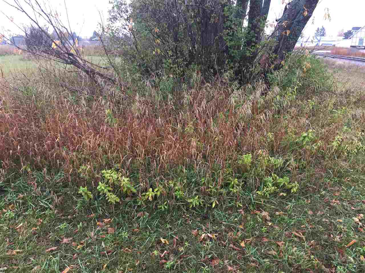 Tbd Atkins & Division Roads Petoskey MI 49770