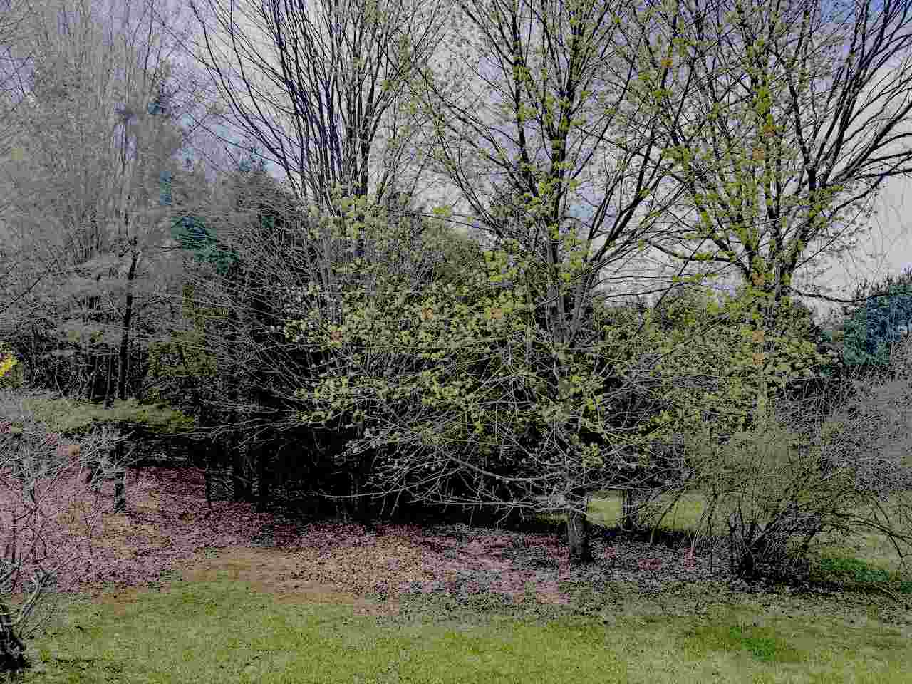 120 Lakeview Drive East Jordan MI 49727