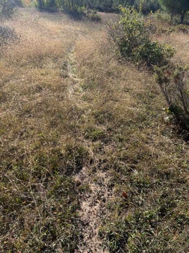 4722 State Road & 147 Acres V/l Division Harbor Springs MI 49740