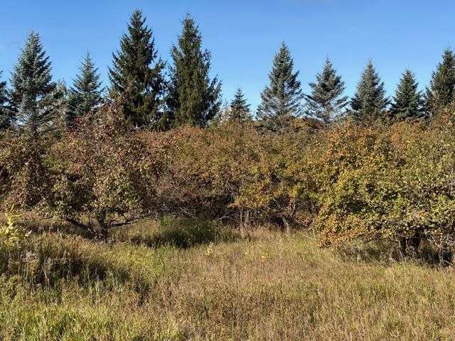 4722 State Road & 147 Acres V/l Division Harbor Springs MI 49740