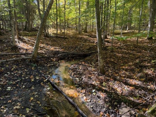 4722 State Road & 147 Acres V/l Division Harbor Springs MI 49740
