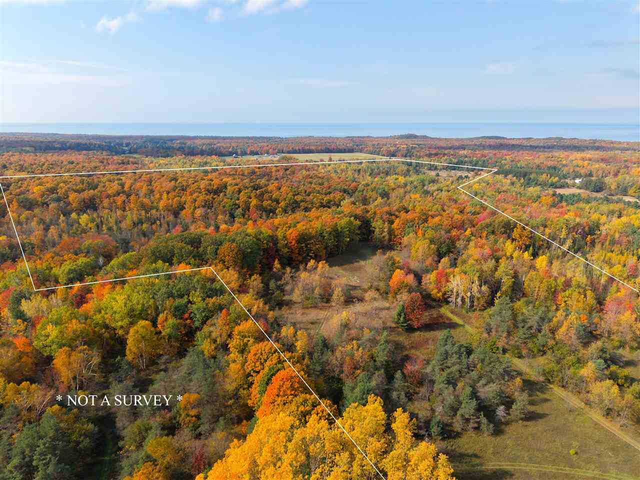 4722 State Road & 147 Acres V/l Division Harbor Springs MI 49740