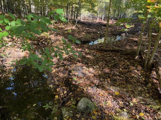 4722 State Road & 147 Acres V/l Division Harbor Springs MI 49740