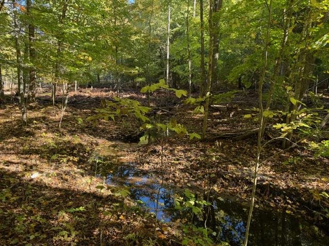 4722 State Road & 147 Acres V/l Division Harbor Springs MI 49740