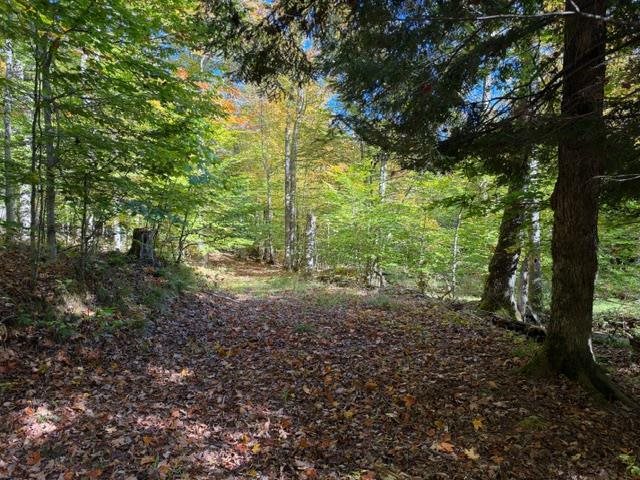 4722 State Road & 147 Acres V/l Division Harbor Springs MI 49740