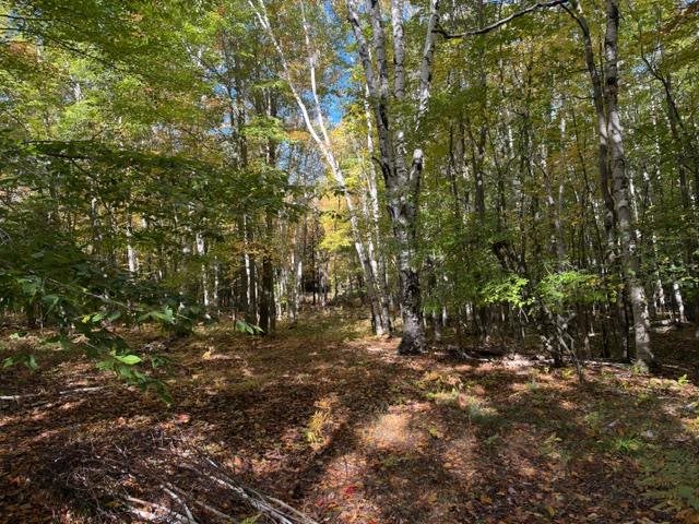 4722 State Road & 147 Acres V/l Division Harbor Springs MI 49740