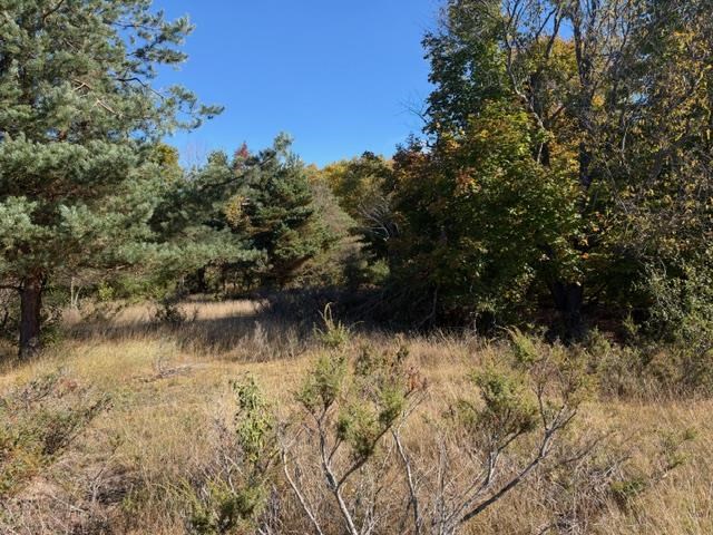 4722 State Road & 147 Acres V/l Division Harbor Springs MI 49740