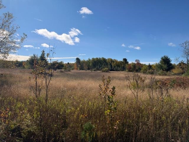 4722 State Road & 147 Acres V/l Division Harbor Springs MI 49740