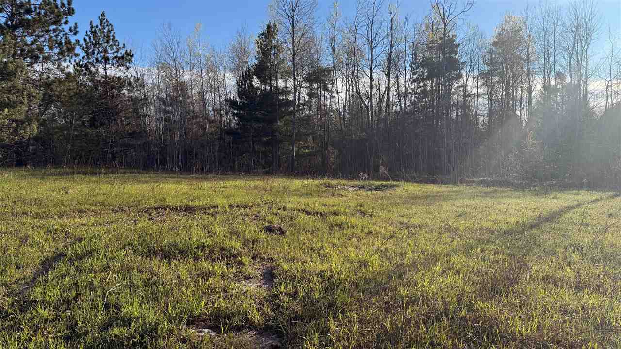 1300 Saw Mill Lane Charlevoix MI 49720