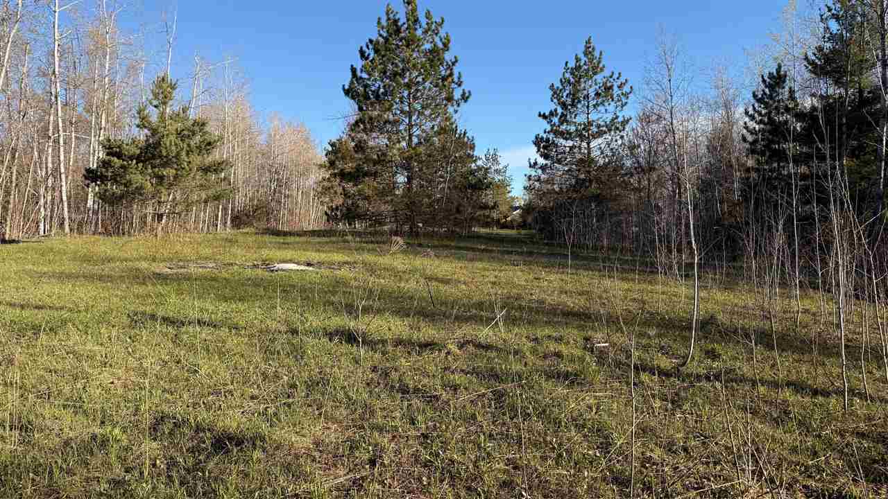 1300 Saw Mill Lane Charlevoix MI 49720