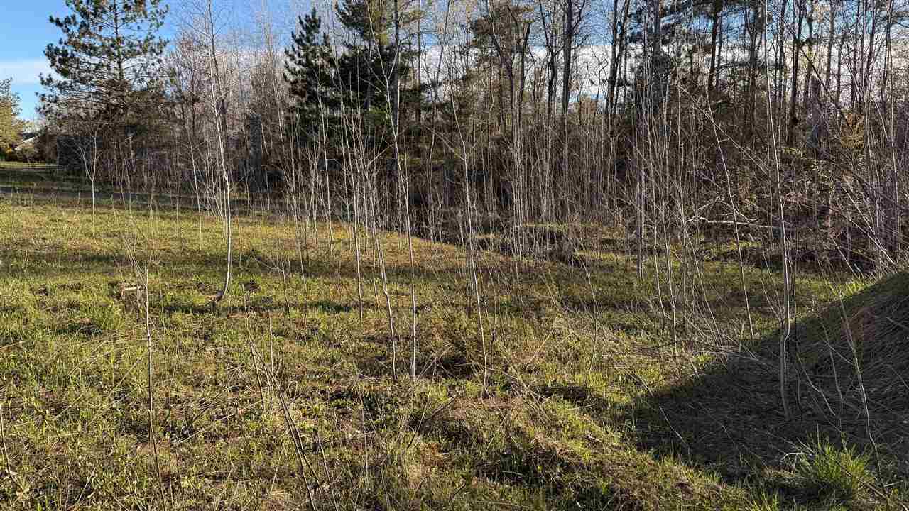 1300 Saw Mill Lane Charlevoix MI 49720