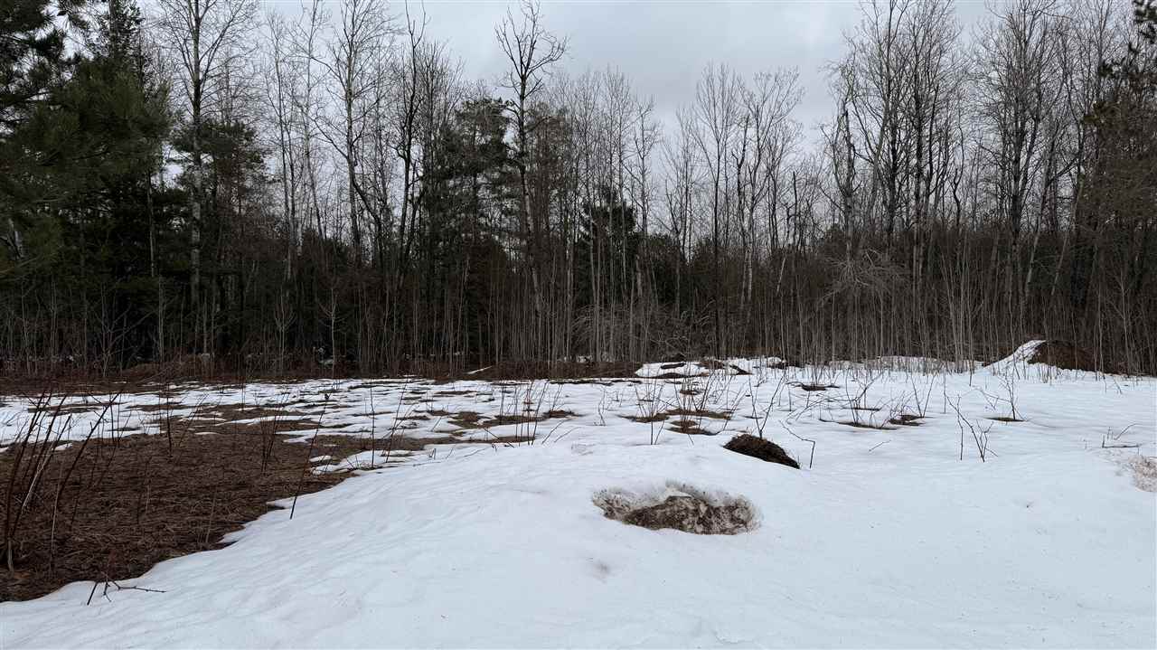 1300 Saw Mill Lane Charlevoix MI 49720