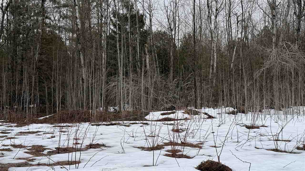1300 Saw Mill Lane Charlevoix MI 49720