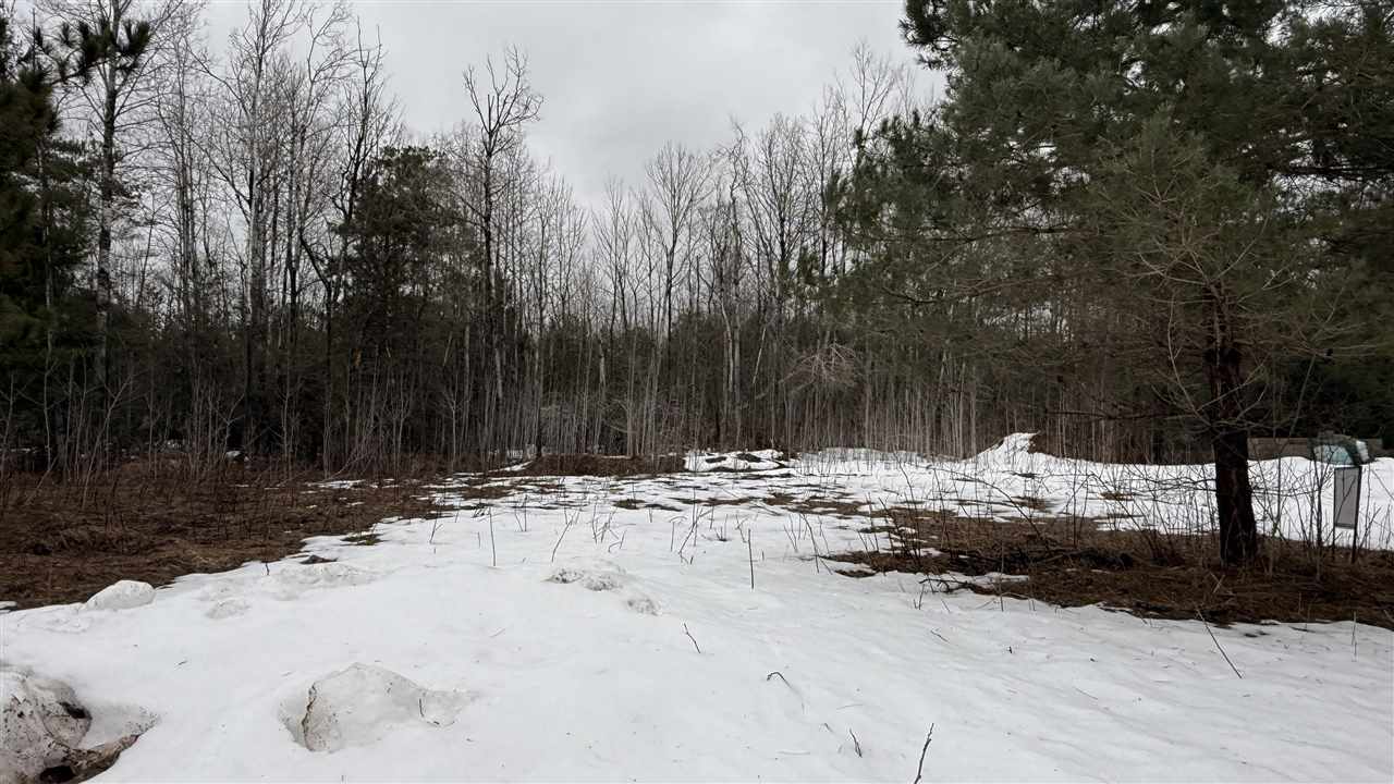 1300 Saw Mill Lane Charlevoix MI 49720