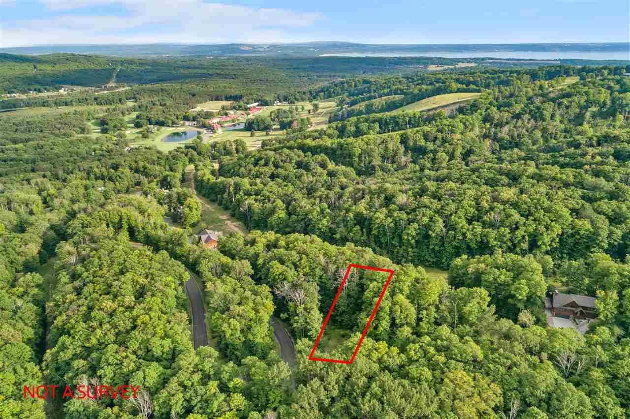 1387 Andover Club Drive Harbor Springs MI 49740