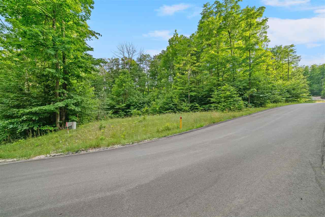 1387 Andover Club Drive Harbor Springs MI 49740