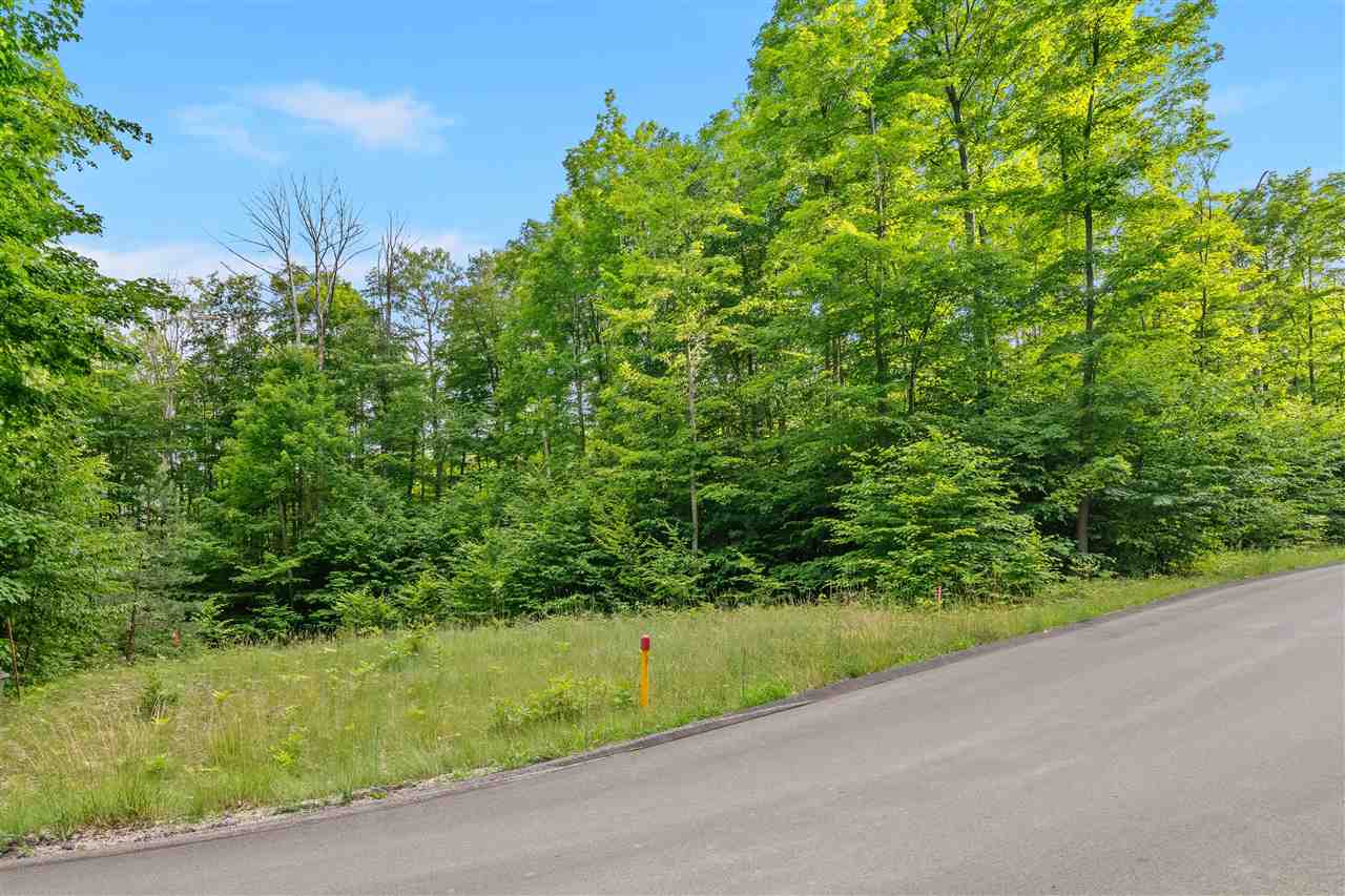 1387 Andover Club Drive Harbor Springs MI 49740