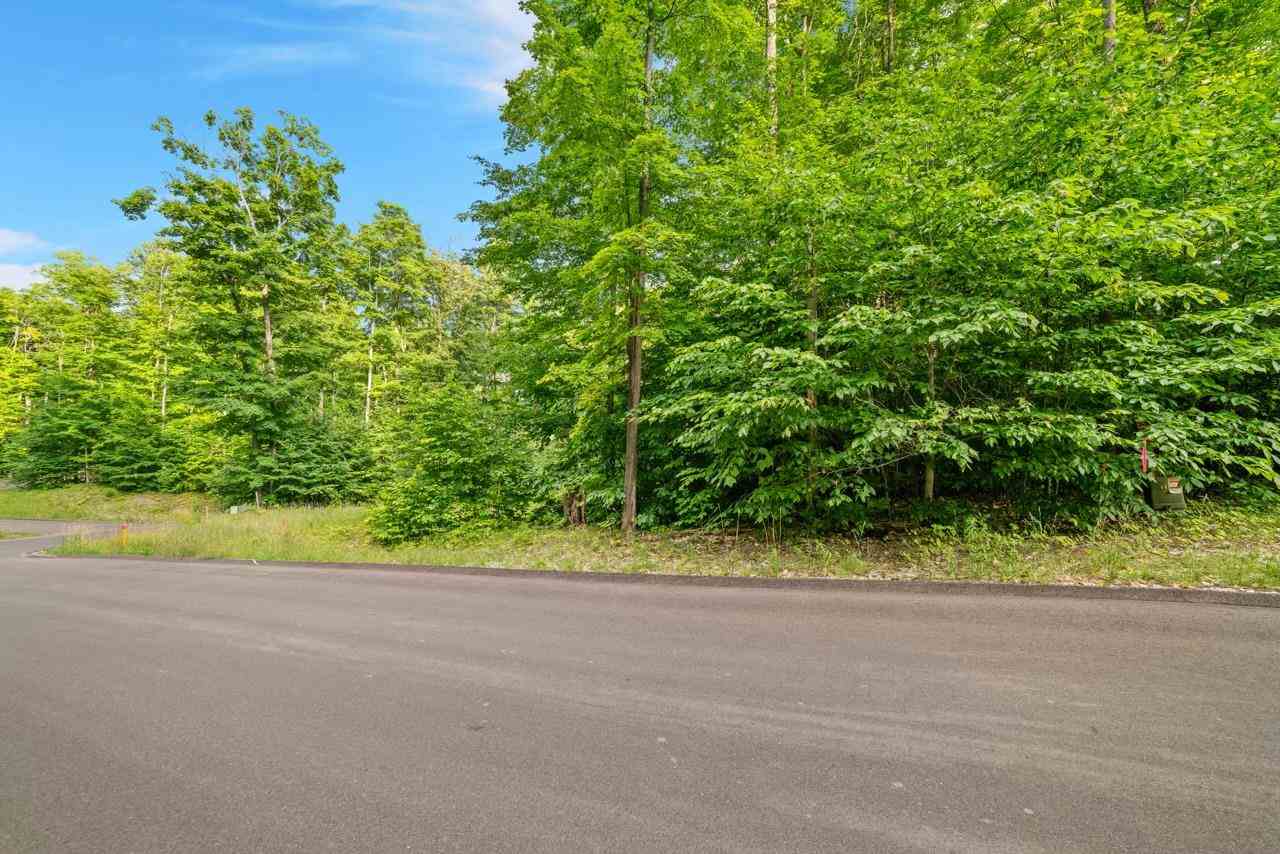 1387 Andover Club Drive Harbor Springs MI 49740